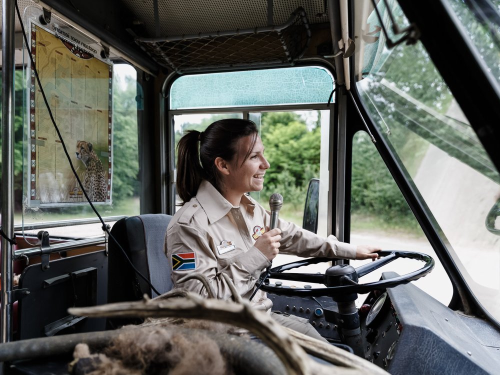 Bus Safari Go On A Tour With A Ranger Beekse Bergen