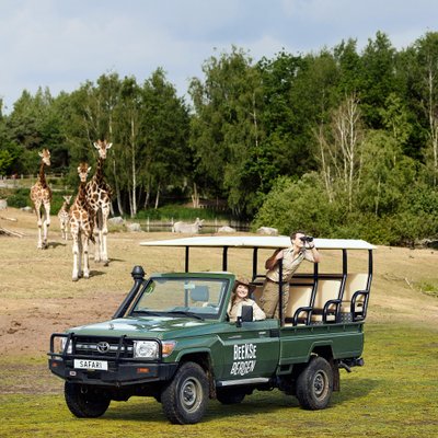 <h4><strong>Gamedrive</strong></h4>