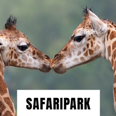 beekse bergen safari park gutschein