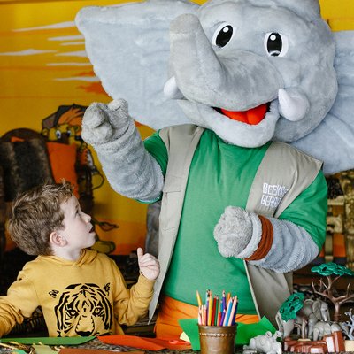 <h4><strong>Djambo show</strong></h4>