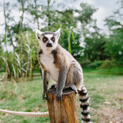 <h4>Plattegrond</h4>