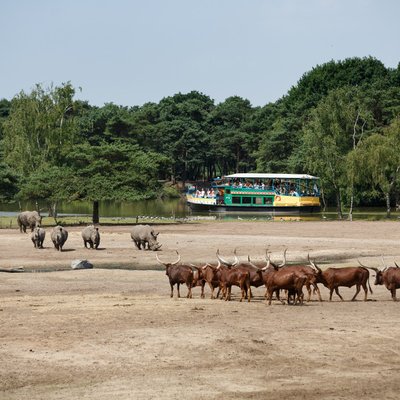 safaripark-neushoornvlakte-bootsafari.jpg