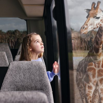 safaripark_bussafari_meisje_giraffe_seizoensneutraal.jpg
