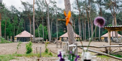 <h4><span class="card-header">Indrukwekkend overnachten</span></h4>