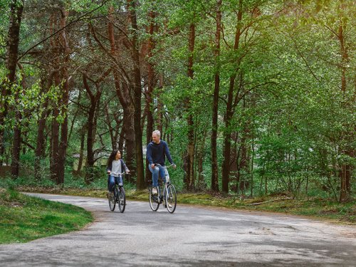 <h4>Fietsarrangement</h4>