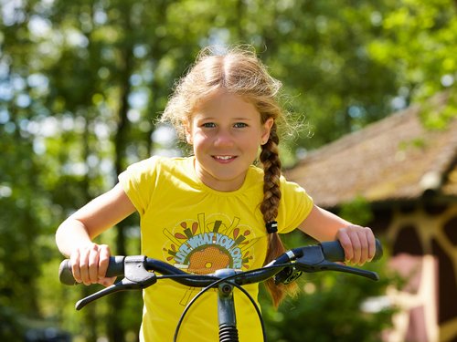 <h4>Fietsarrangement</h4>