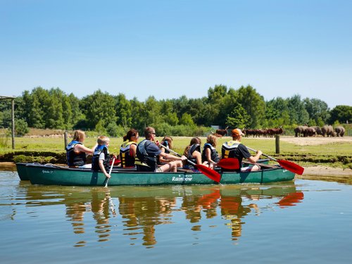 <h4>Canoe safari</h4>