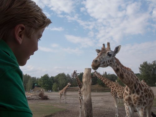 <h4 class="headingwhite">Safaripark</h4>