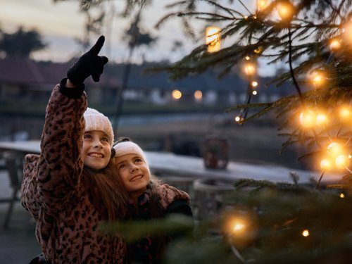 <h4>Safari Resort</h4>