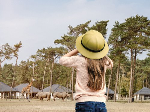 <h4>Safari Resort</h4>