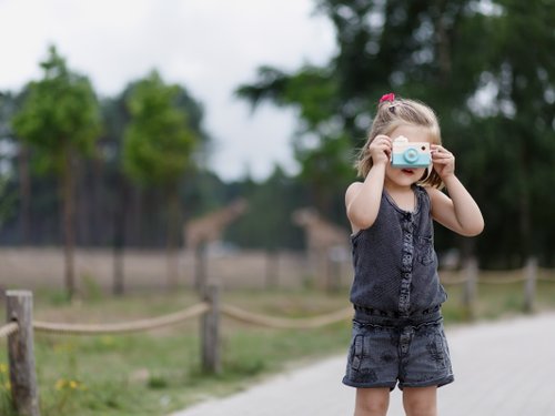 <h4>Walking safari</h4>