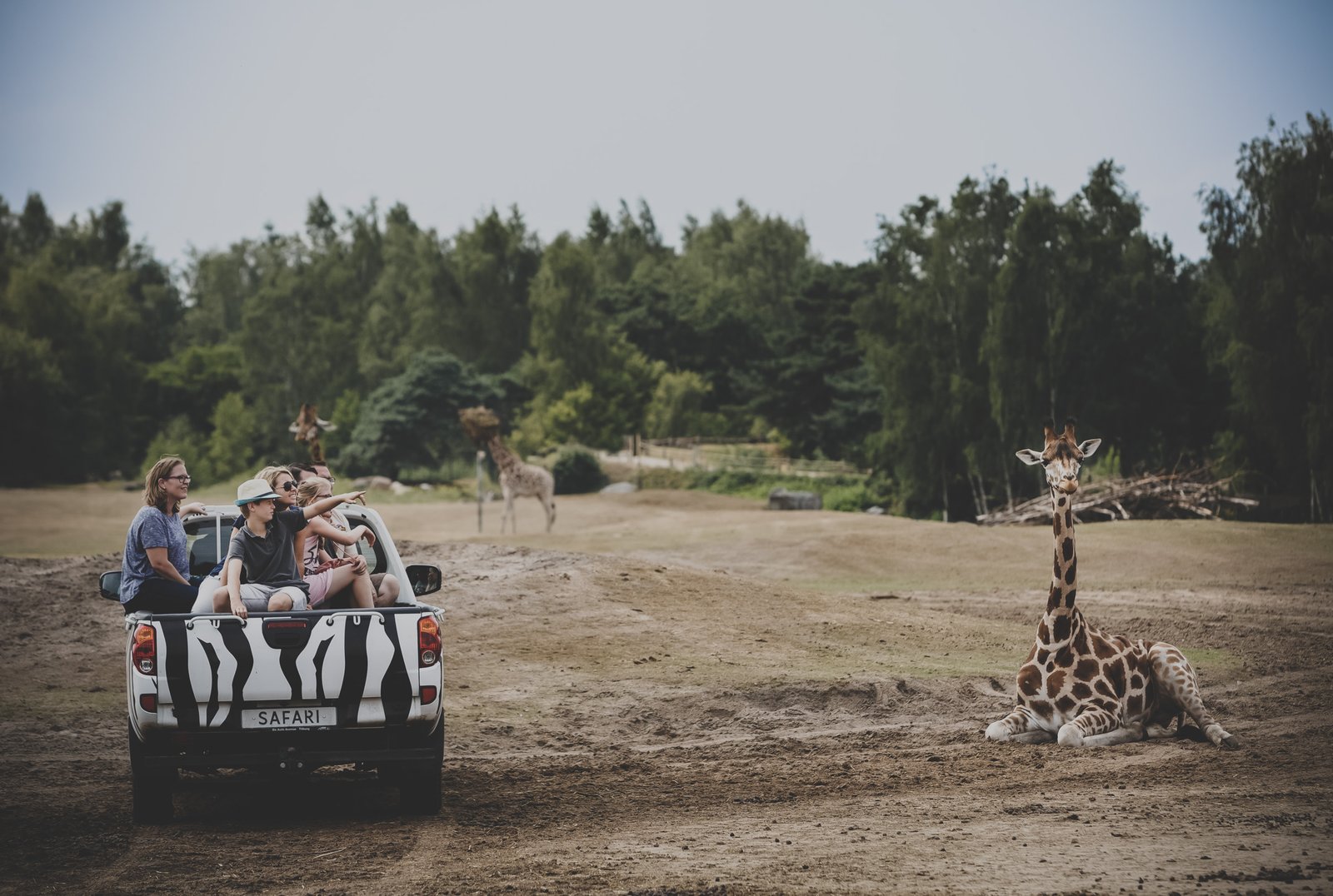Het Safaripark voor zakelijke events Locaties Beekse Bergen