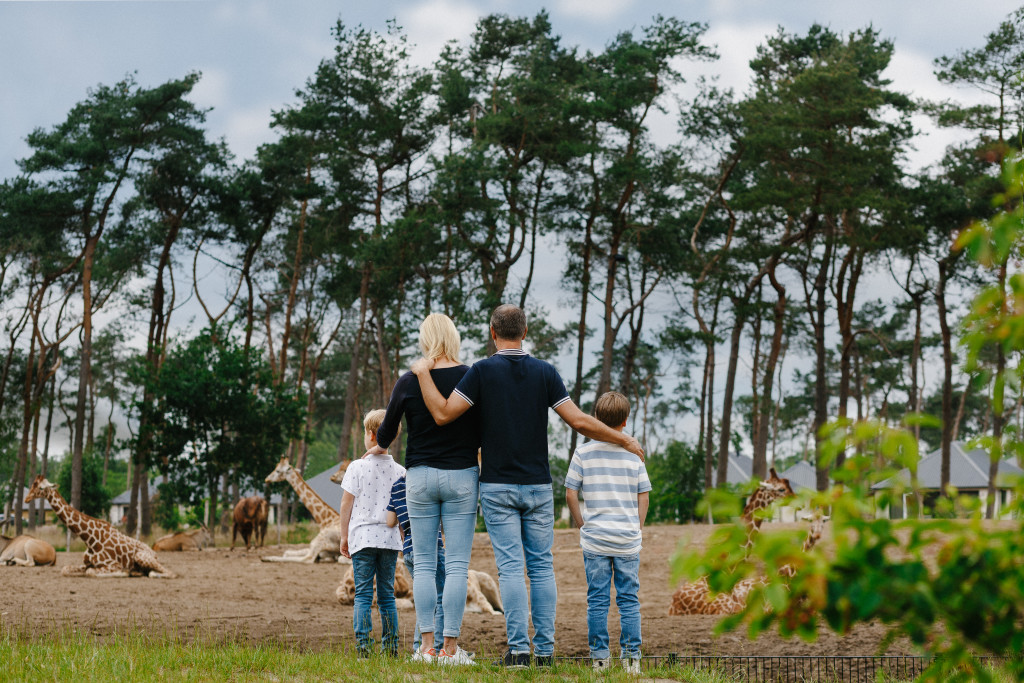 Beekse Bergen Entdecken Sie Unsere Natur